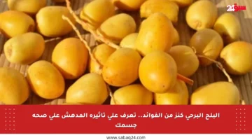 البلح البرحي كنز من الفوائد.. تعرف على تأثيره المدهش على صحة جسمك